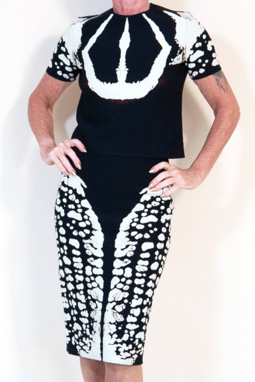McQueen Two Piece Beetle Print Top/ Pencil Skirt